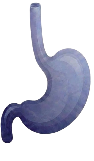 profil-neurofisiologo-clinico-en-cdmx
